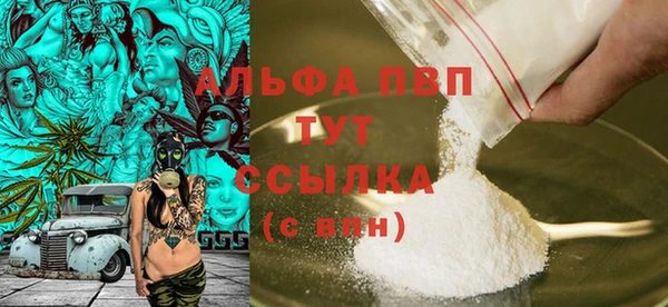 сатива Зерноград