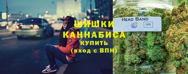 сатива Зерноград