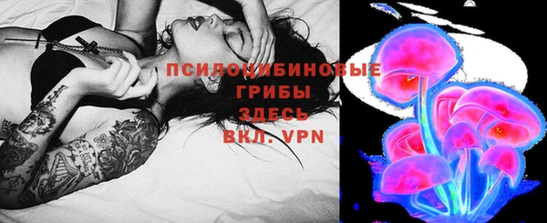 сатива Зерноград