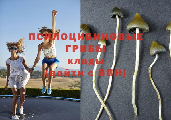 мдма Заводоуковск